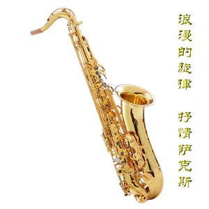 男女在野外搞爱免费视频
