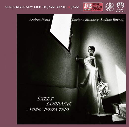 日本一本免费线观看视频
